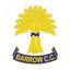 Barrow CC, Cheshire 2nd XI