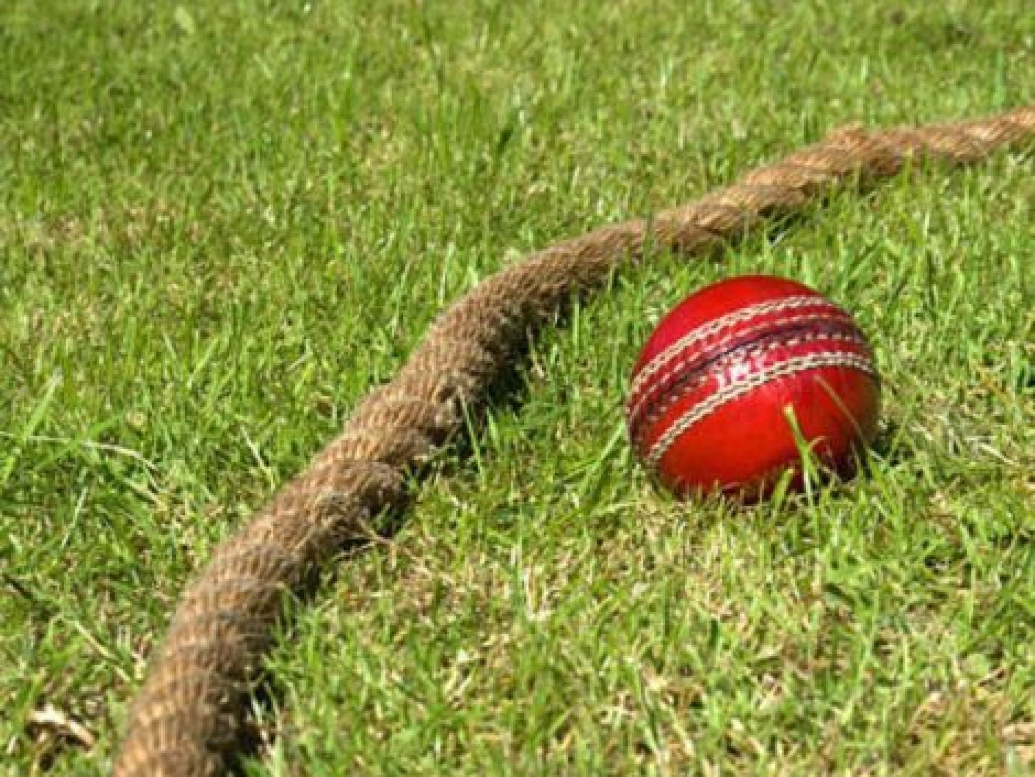 HBCC-cricket-ball-470x353.jpg