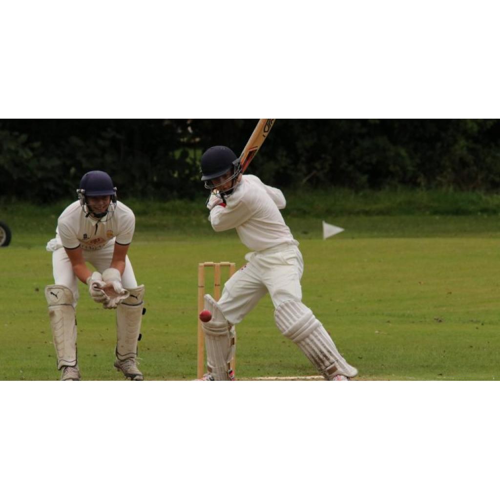 Staniforth Scores Fifty in Final Day Defeat - Hale Barns Cricket Club