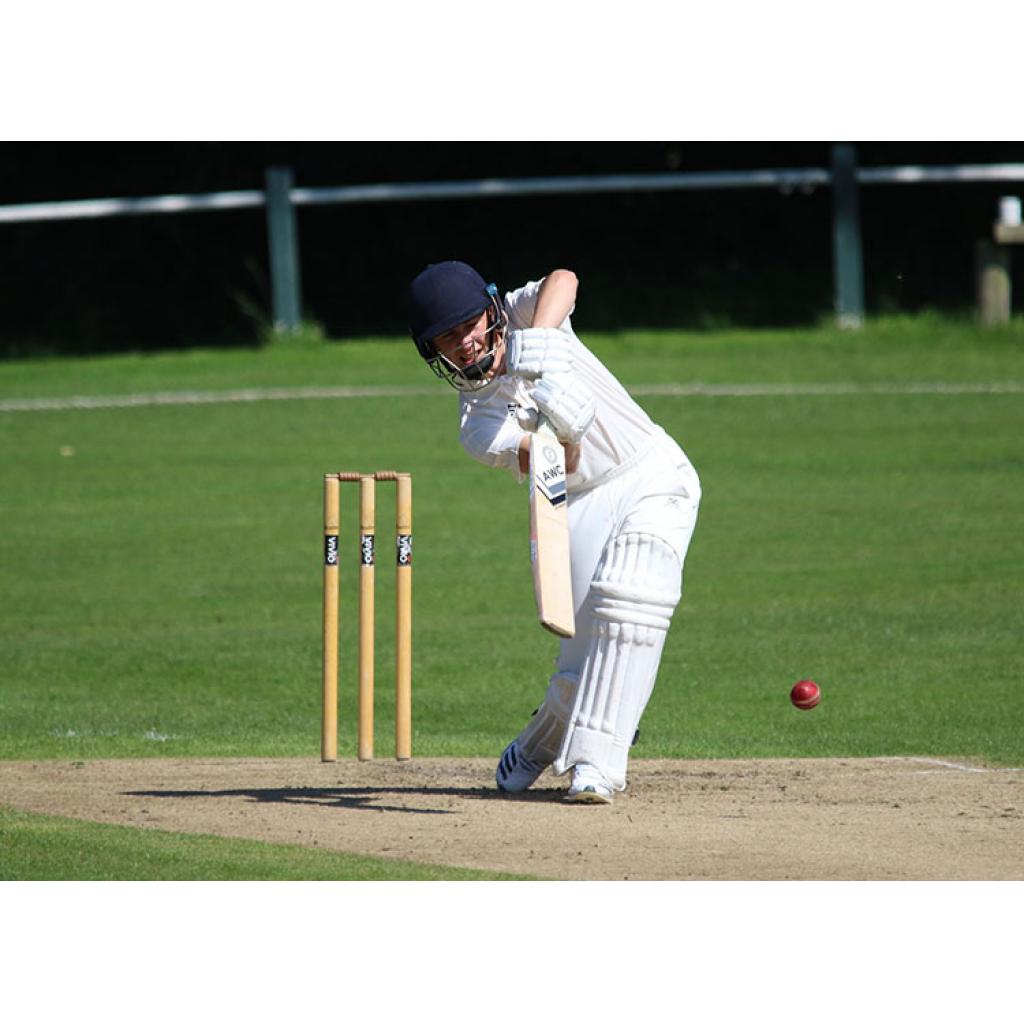 Smith & Staniforth Star For Firsts In High-Scoring Draw - Hale Barns Cricket Club