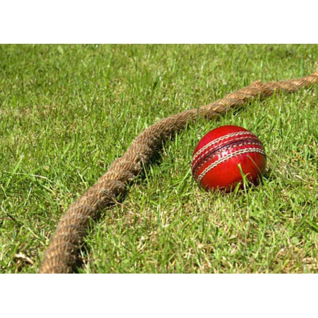 Members Update: Cricket Returns To Brooks Drive - Hale Barns Cricket Club