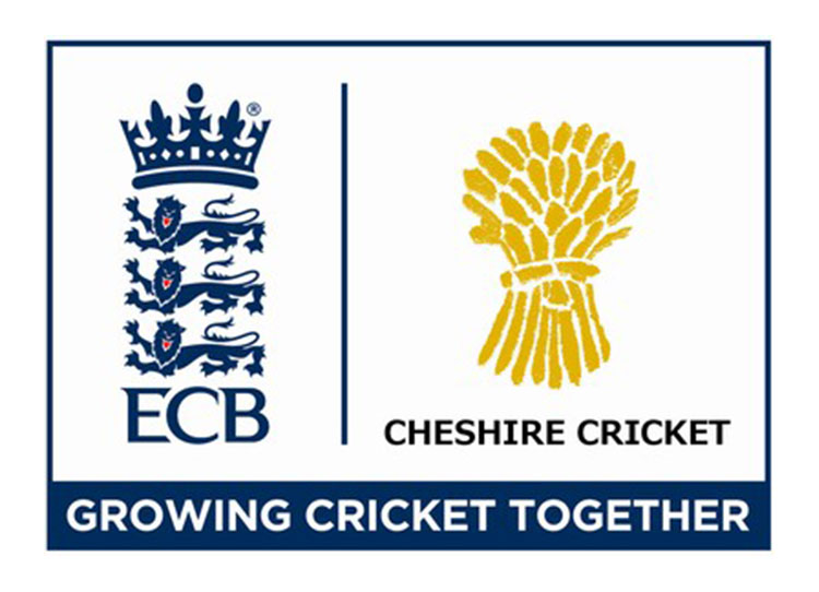 Online Learning With Cheshire Cricket