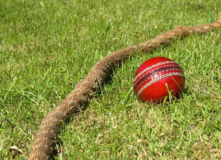 Late Charge By Rabbani Leads Thirds To T20 Win