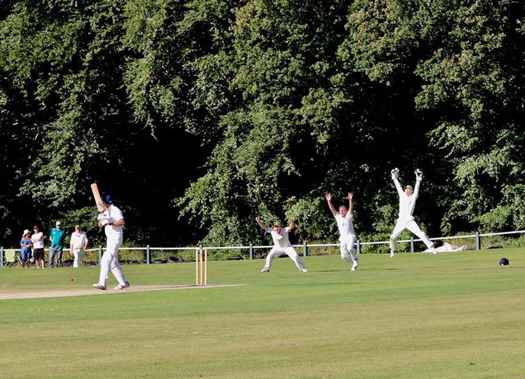 HBCC Reach Cheshire Shield Final After Dramatic Run Chase